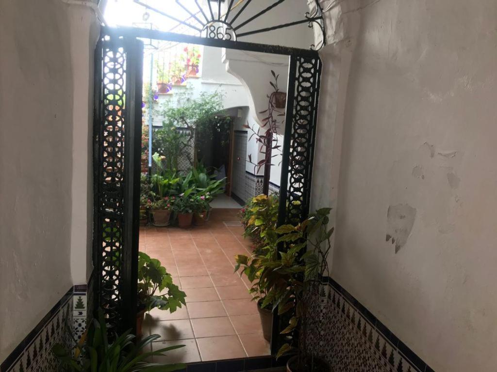 Appartement Antonio Ureba 9 à Conil De La Frontera Extérieur photo